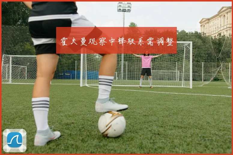 霍夫曼观察中锋联系需调整