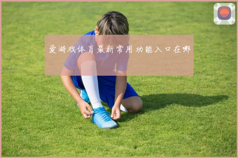 爱游戏体育最新常用功能入口在哪