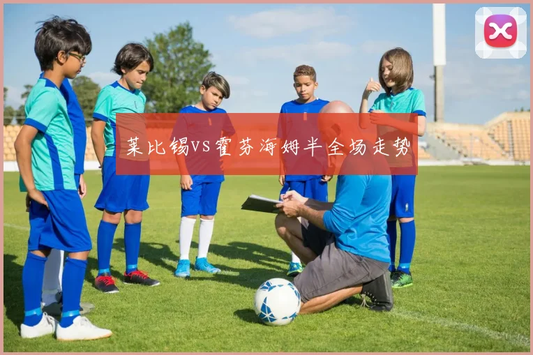 莱比锡vs霍芬海姆半全场走势