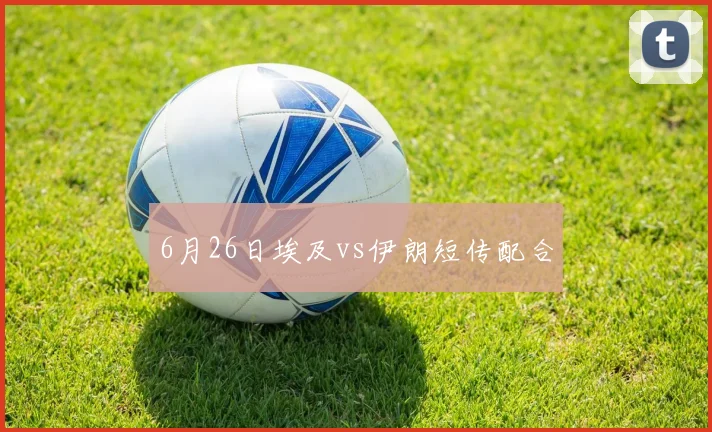 6月26日埃及vs伊朗短传配合
