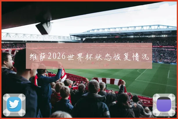维萨2026世界杯状态恢复情况