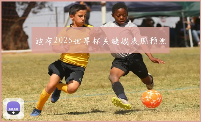 迪布2026世界杯关键战表现预测